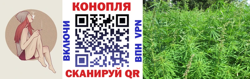 Бошки марихуана планчик  omg сайт  Ардон  наркота 